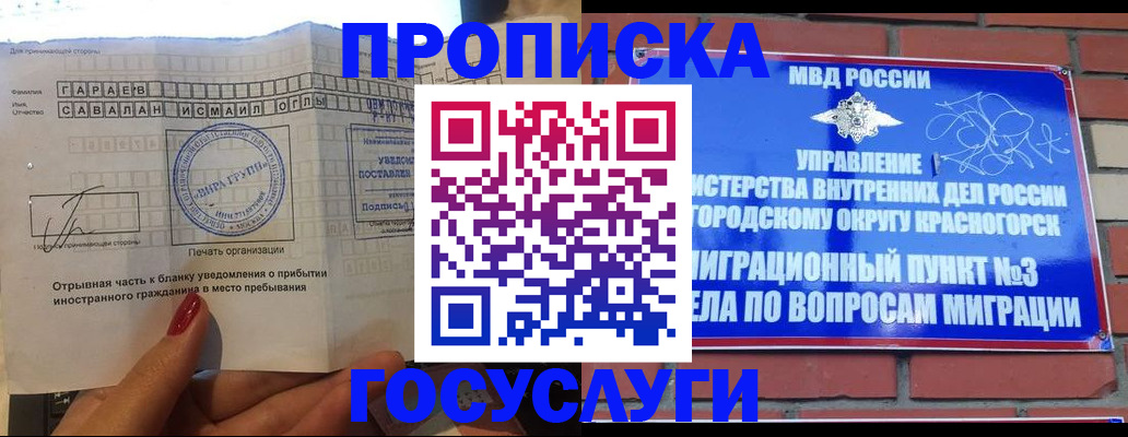 регистрация в Йошкар-Оле